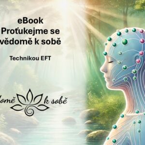 eBook Proťukejme se vědomě k sobě s metodou EFT